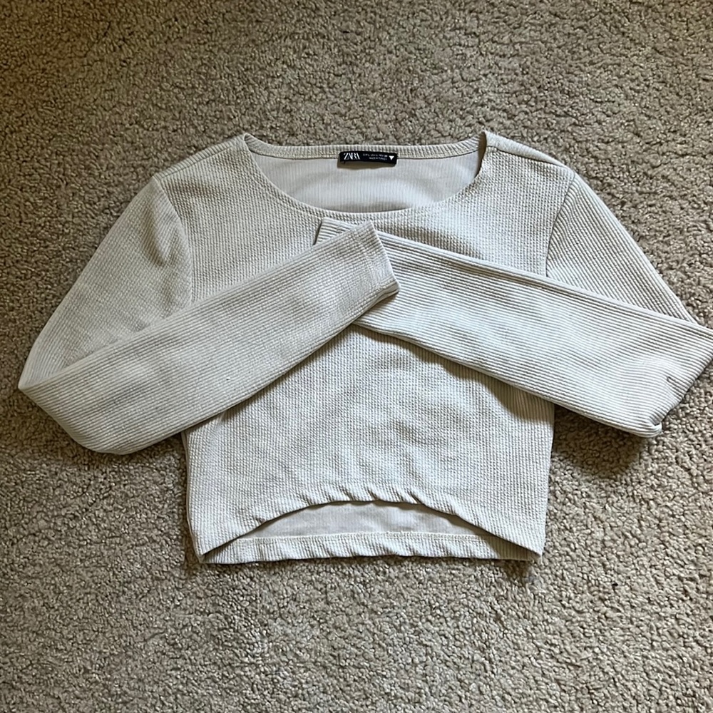Zara Long Sleeve Crop Top